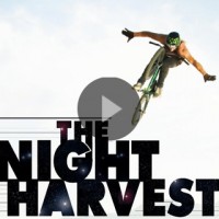The Night Harvest – Dirt Jump Jam